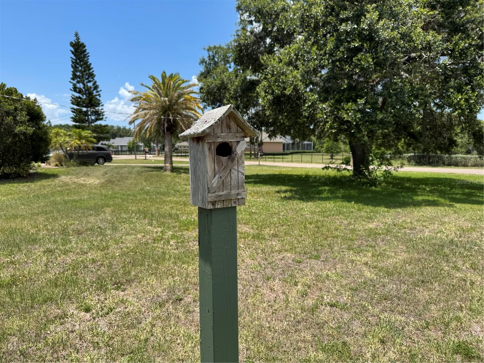 Multiple bird houses are on the property. Every summer, Blue jays nest here and have babies!