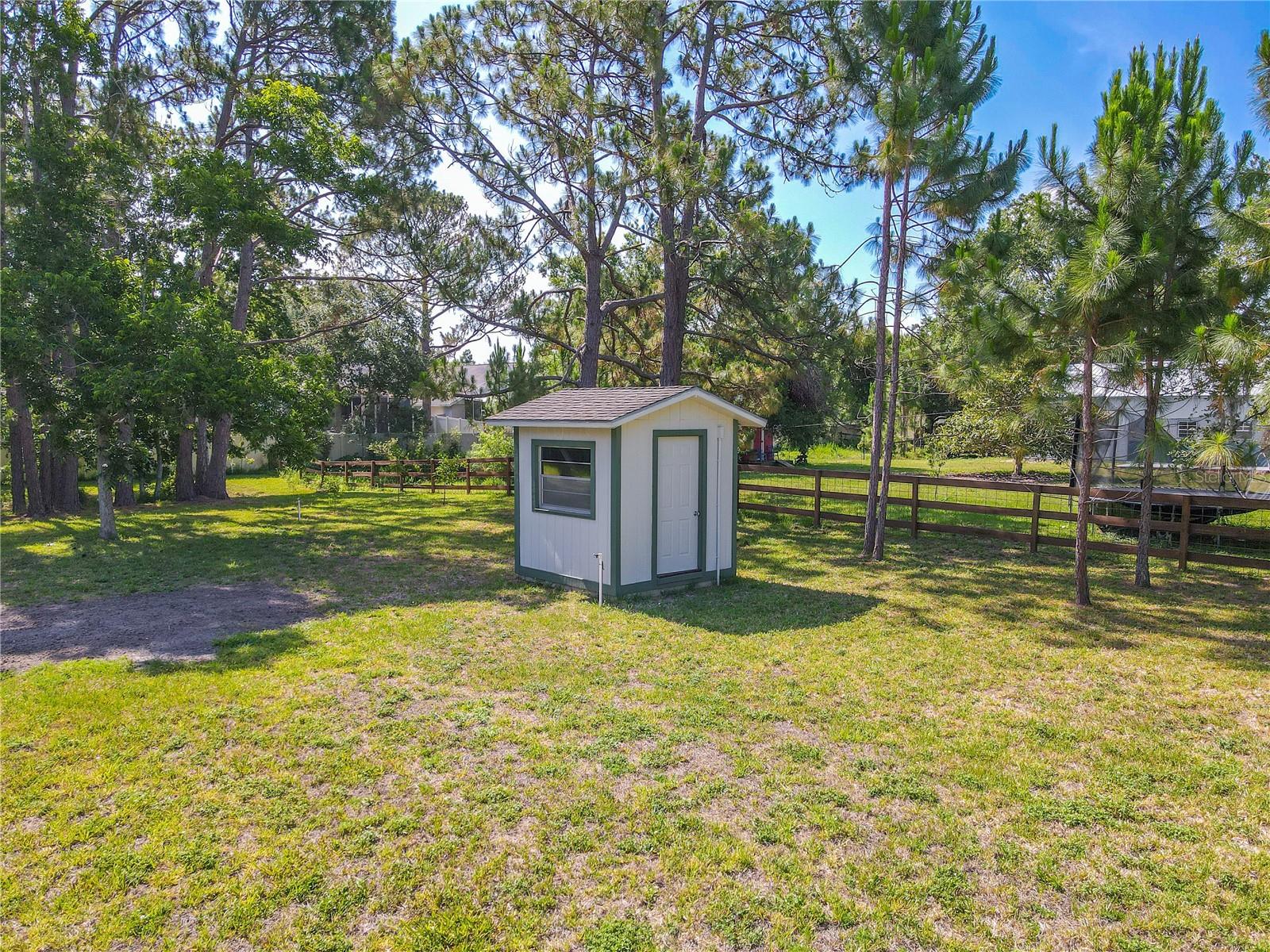 Shed