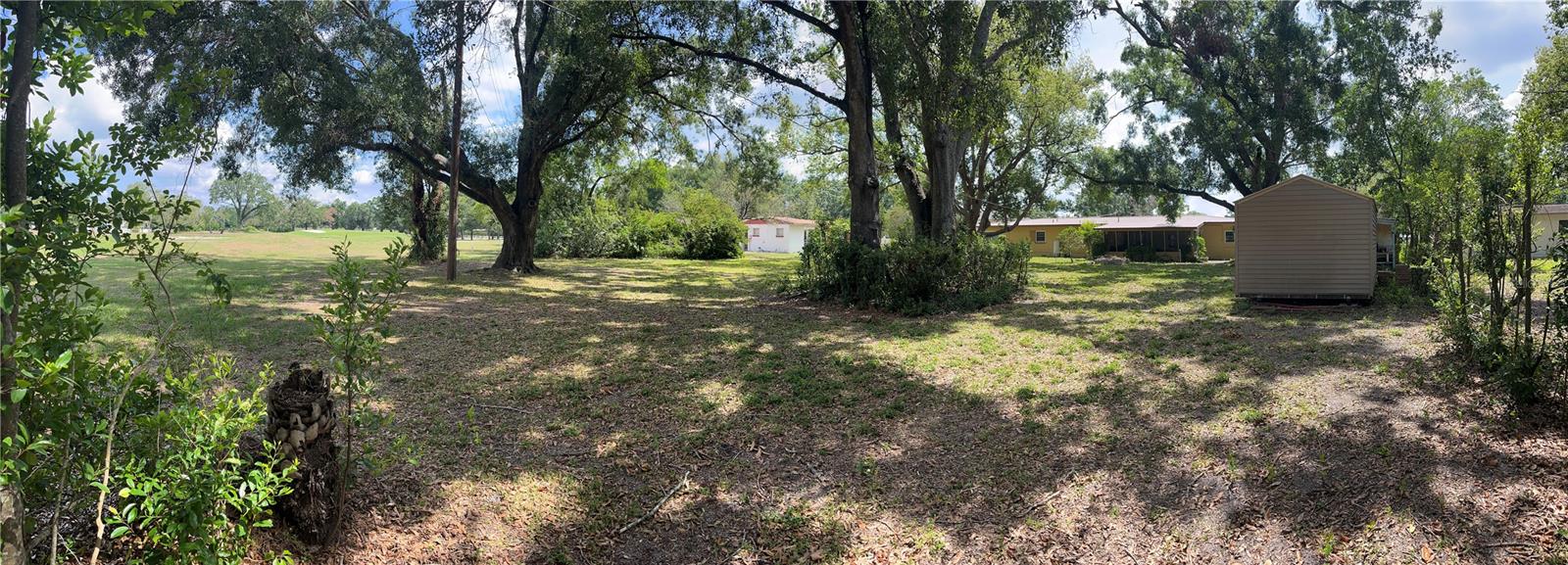 Backyard view