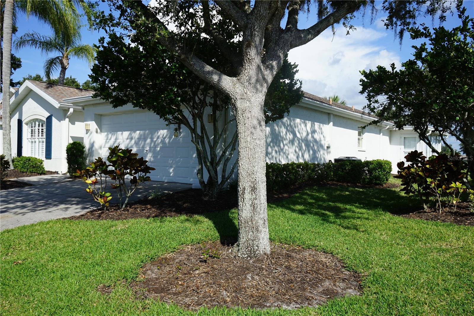 side yard
