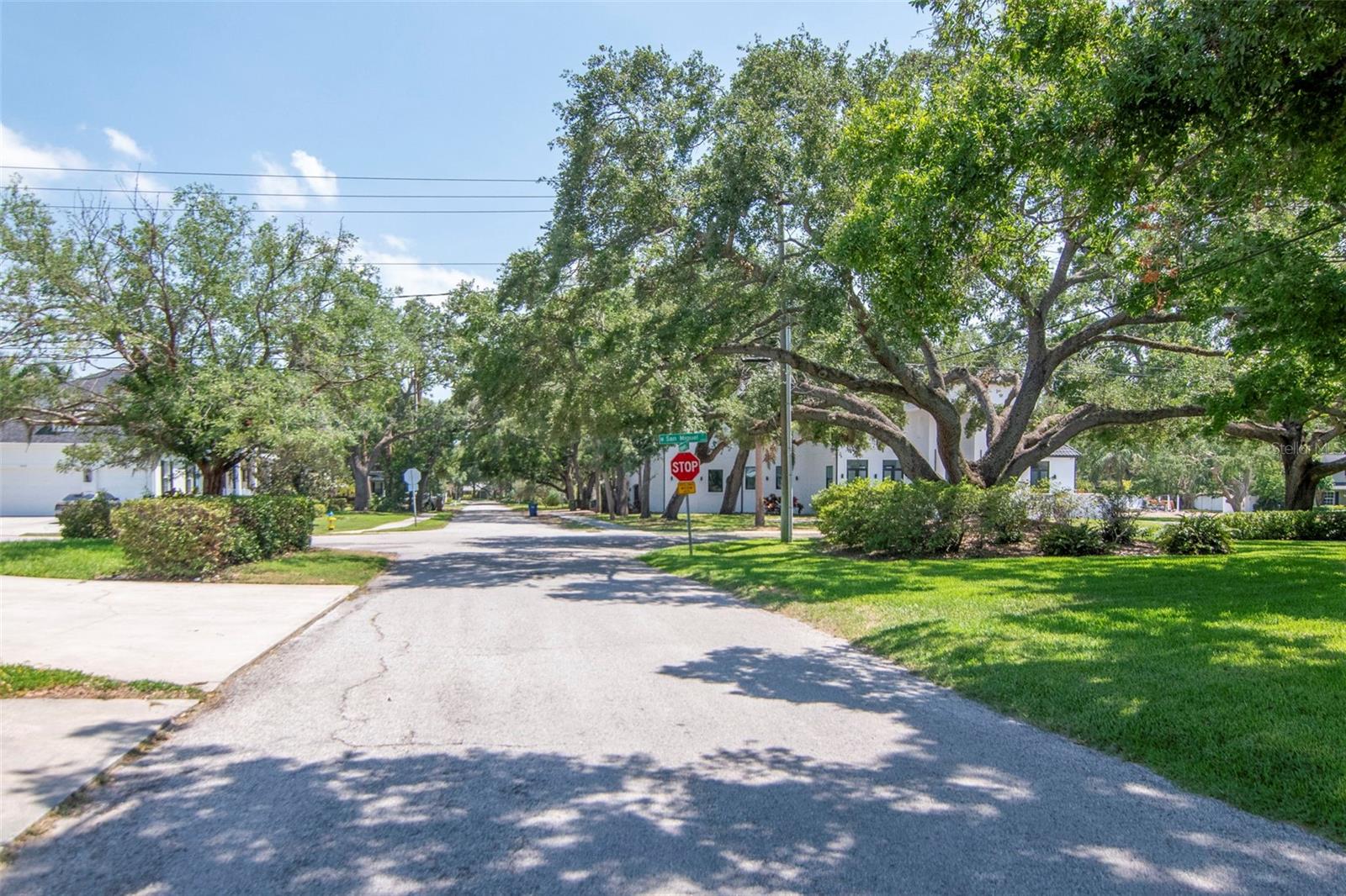 Wide tree lined street