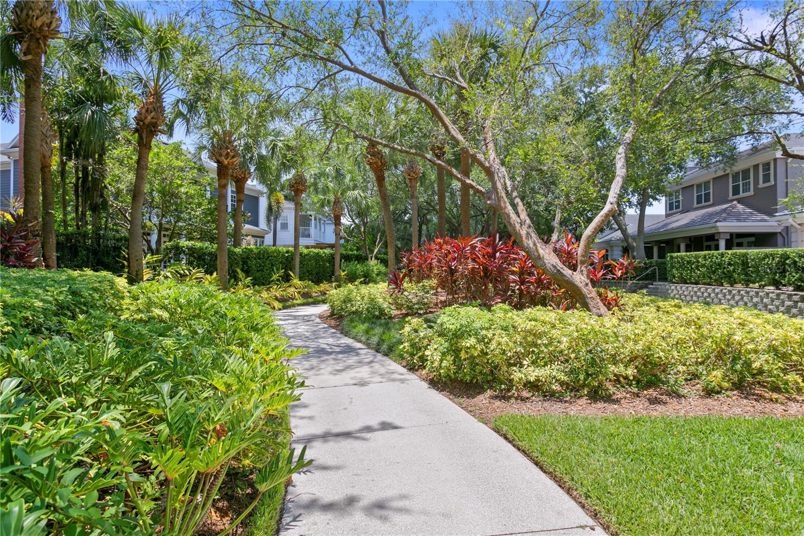 This lush linear parkway is a lovely area that runs through the center of Harbour Island.