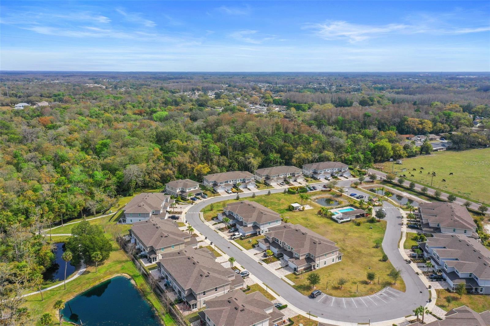 Aerial view of community