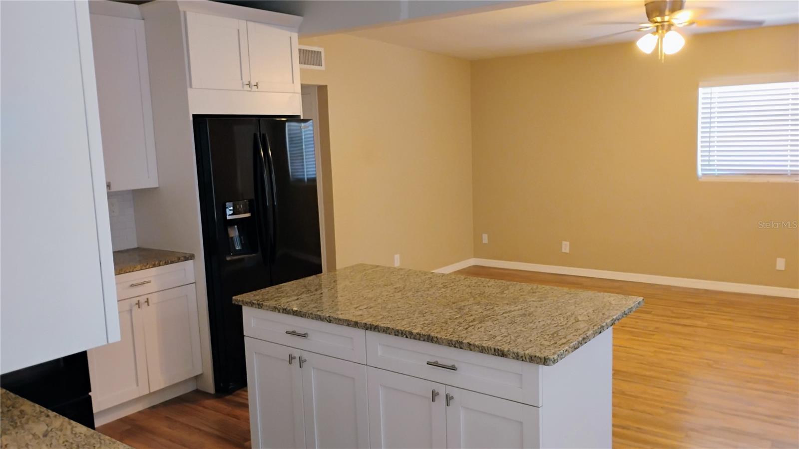 Kitchen vew 2