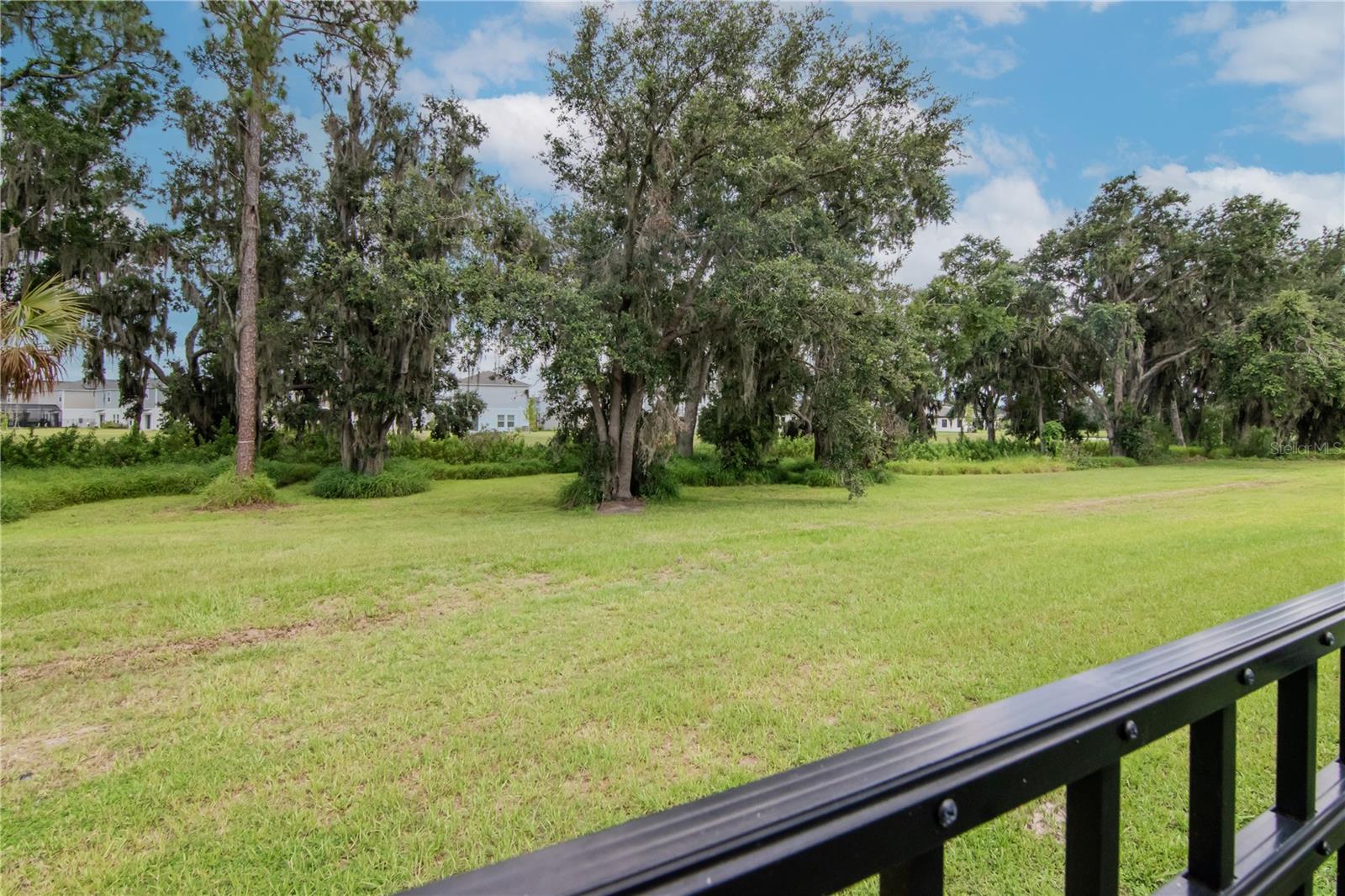 Preserve views from your backyard