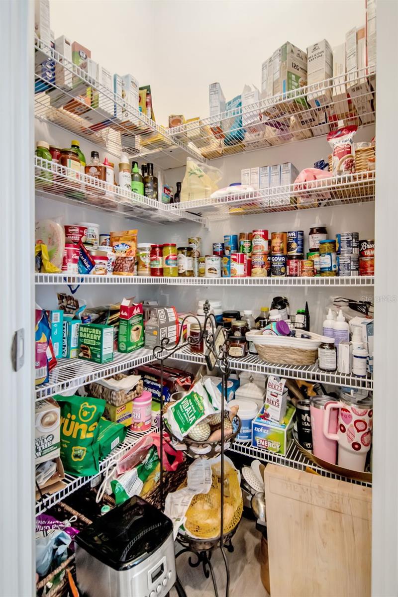 Spacious Pantry