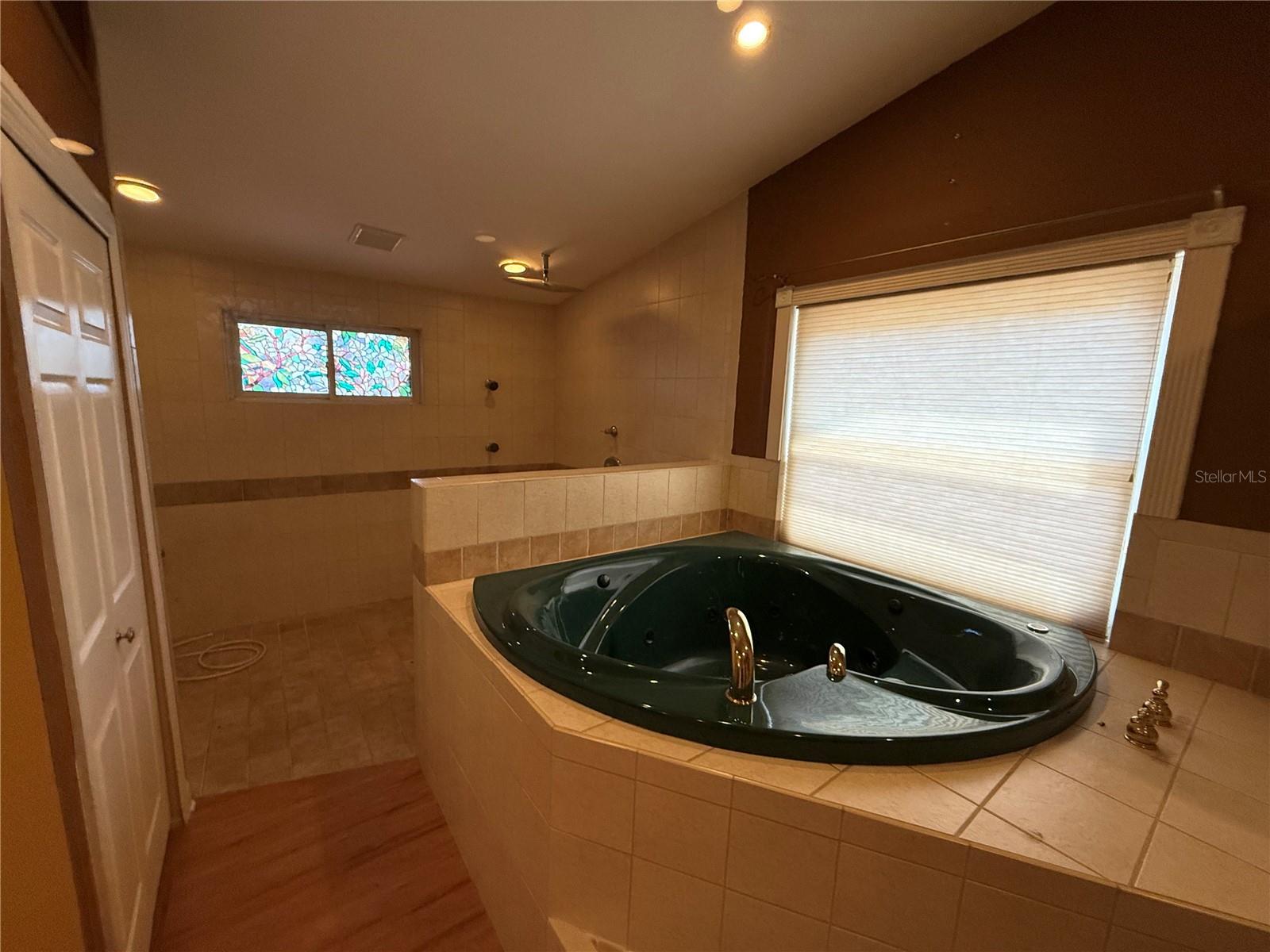 Master Bathroom Tub