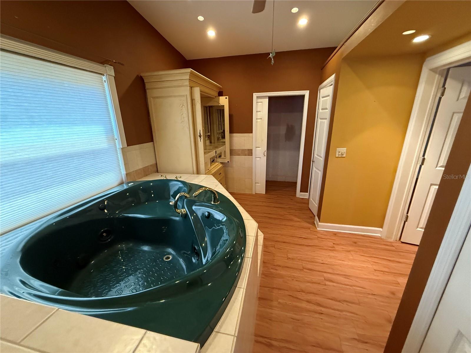 Master Bathroom Tub