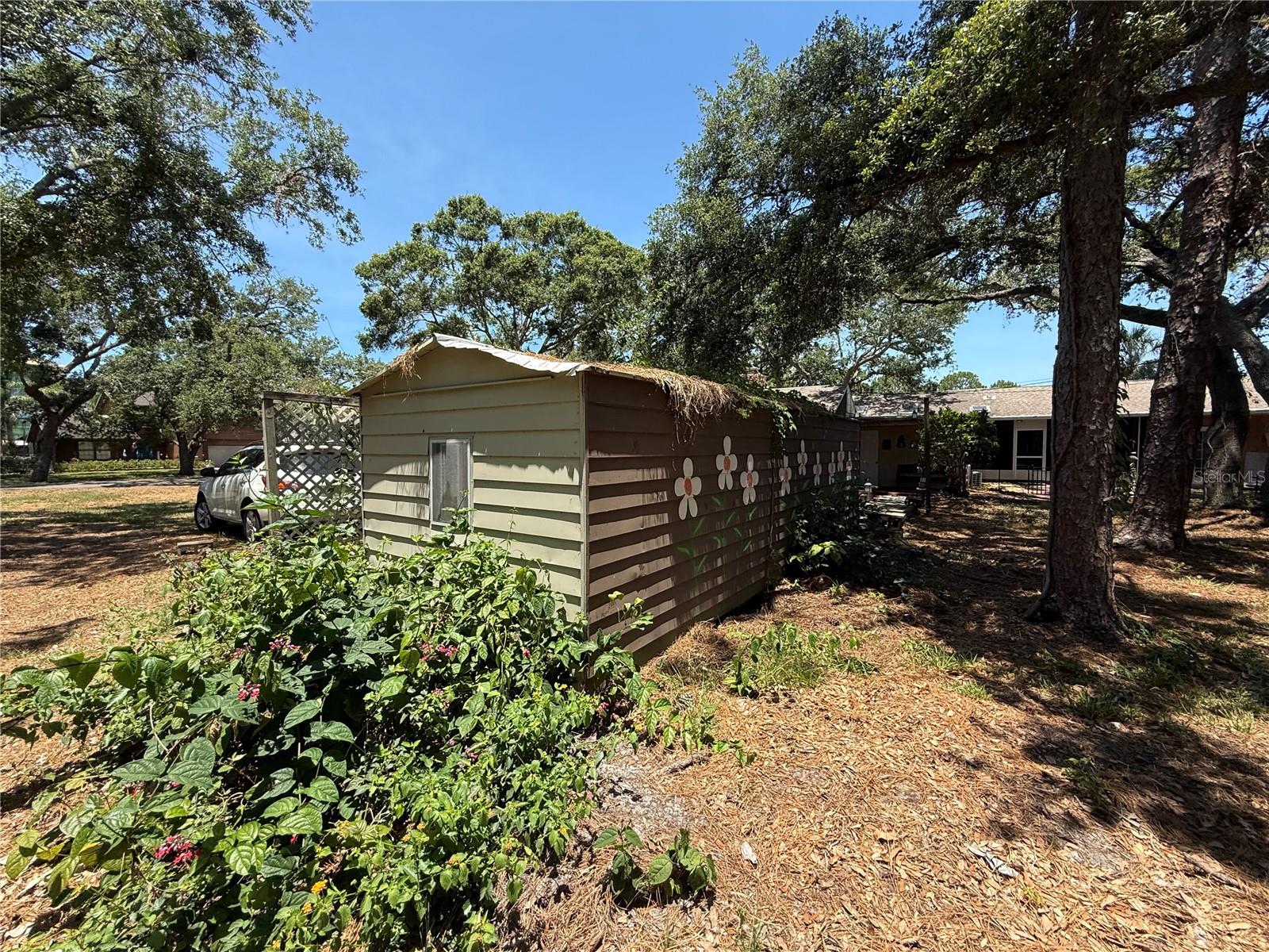 Shed