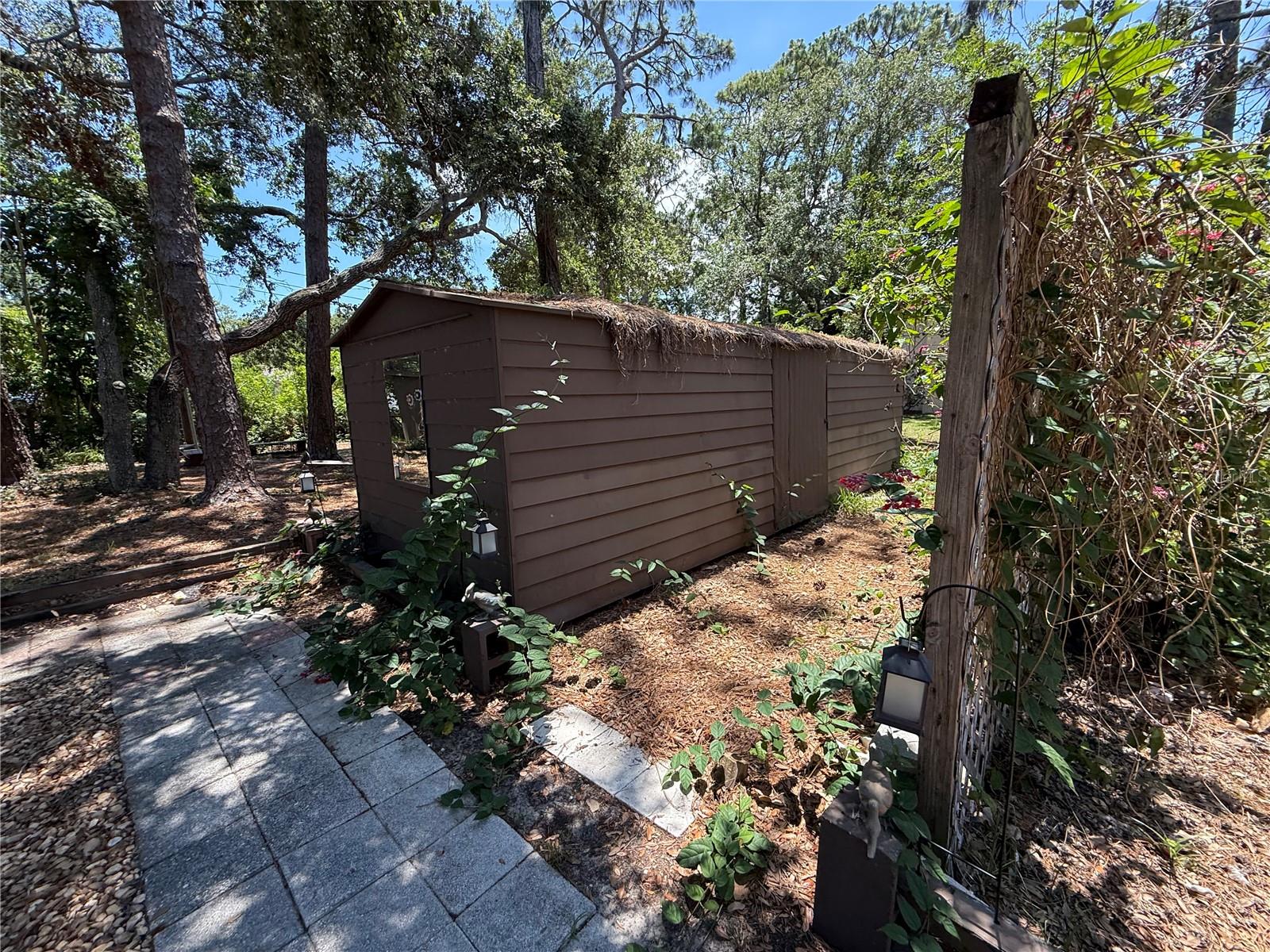 Shed
