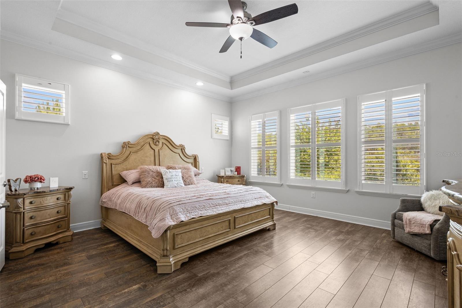 Primary Bedroom - tray ceilings, with en suite bathroom, walk in closet, and view of the conservation