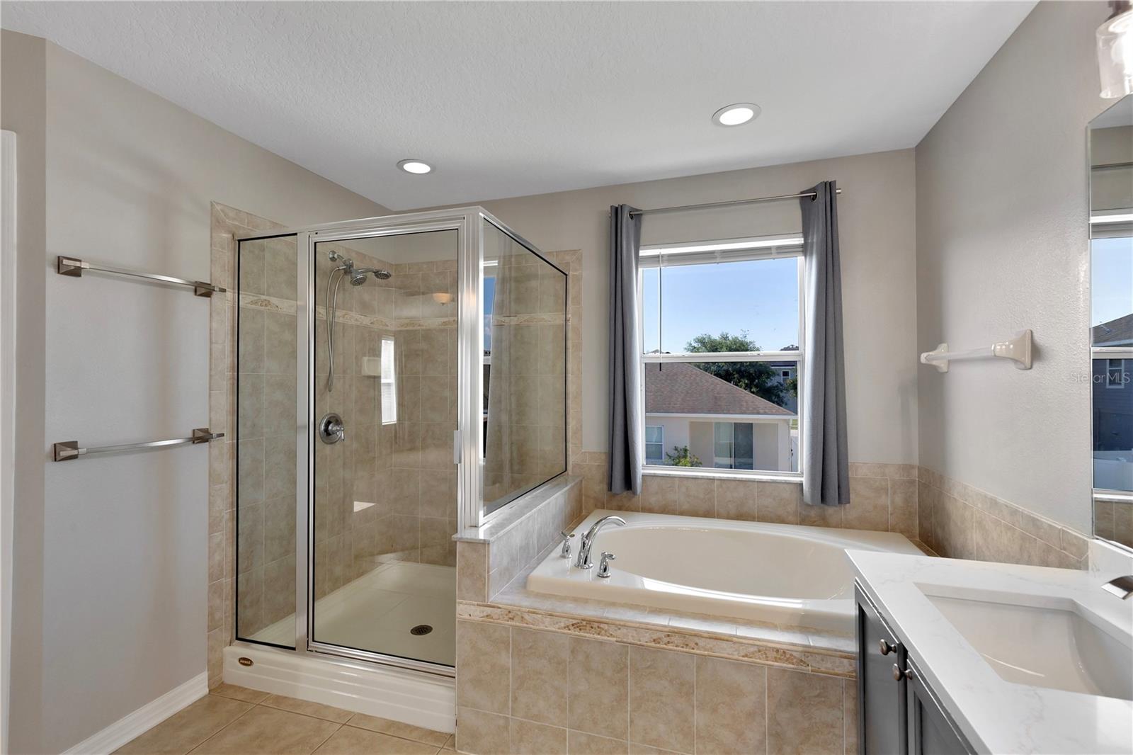 Glass Shower and deep soaking tub