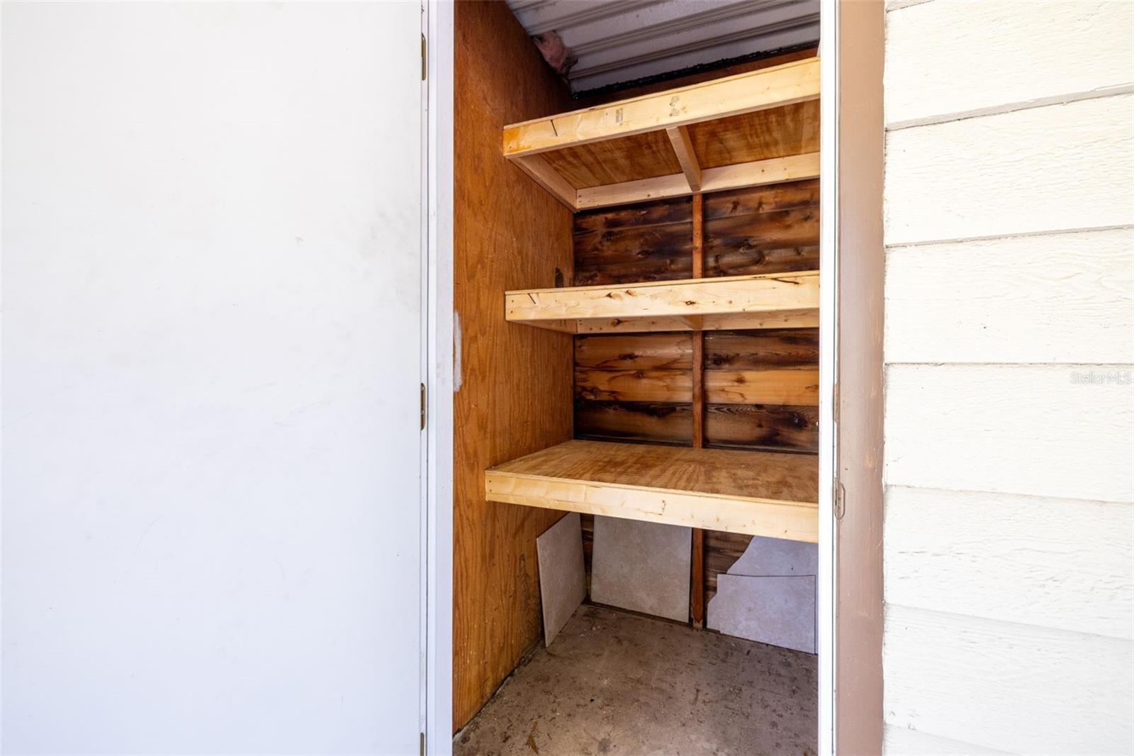 Storage closet with shelves