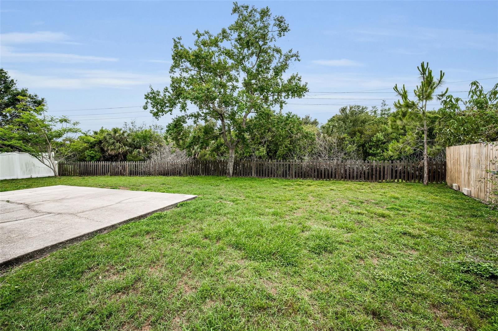 Back Yard