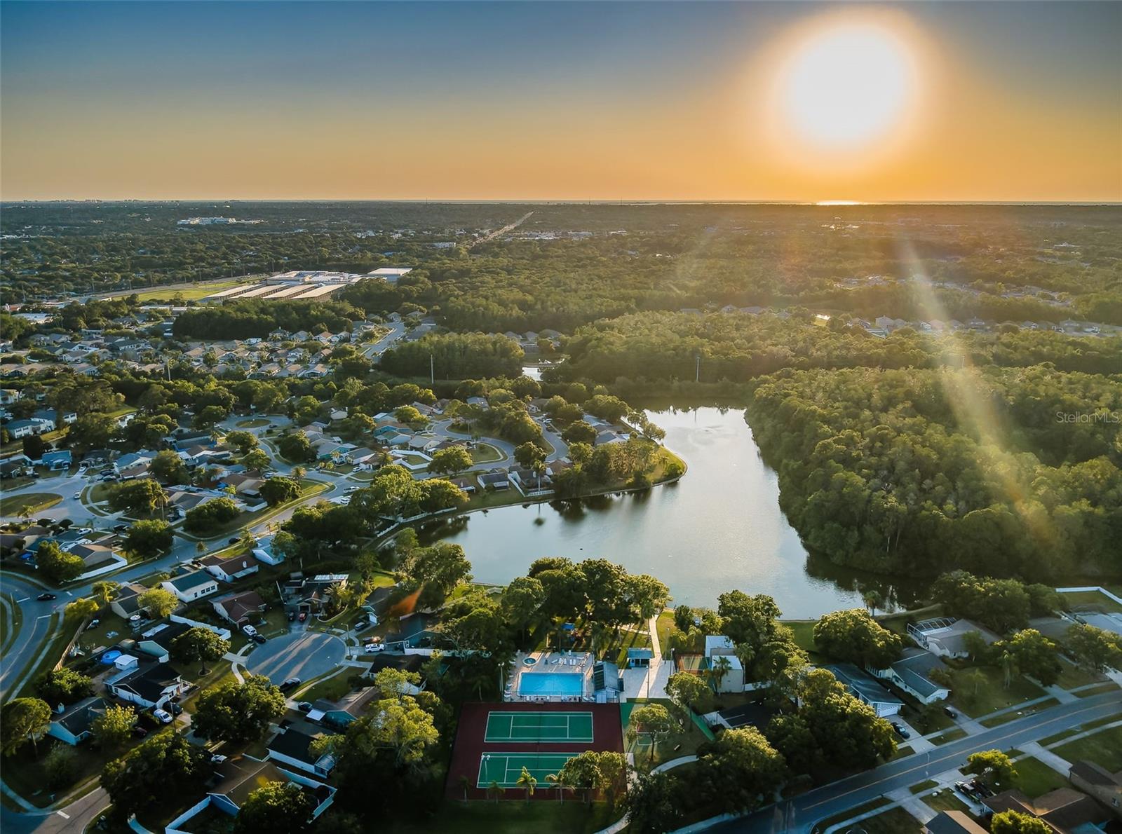Ariel View