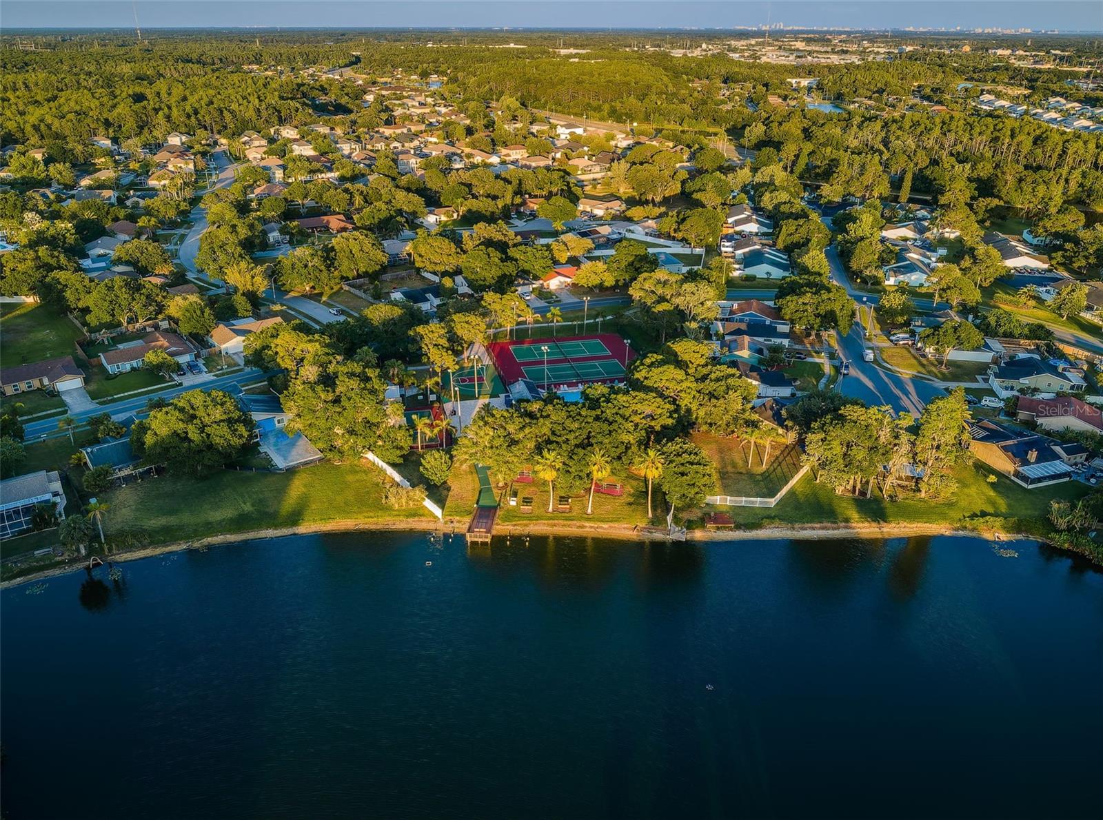 Community view