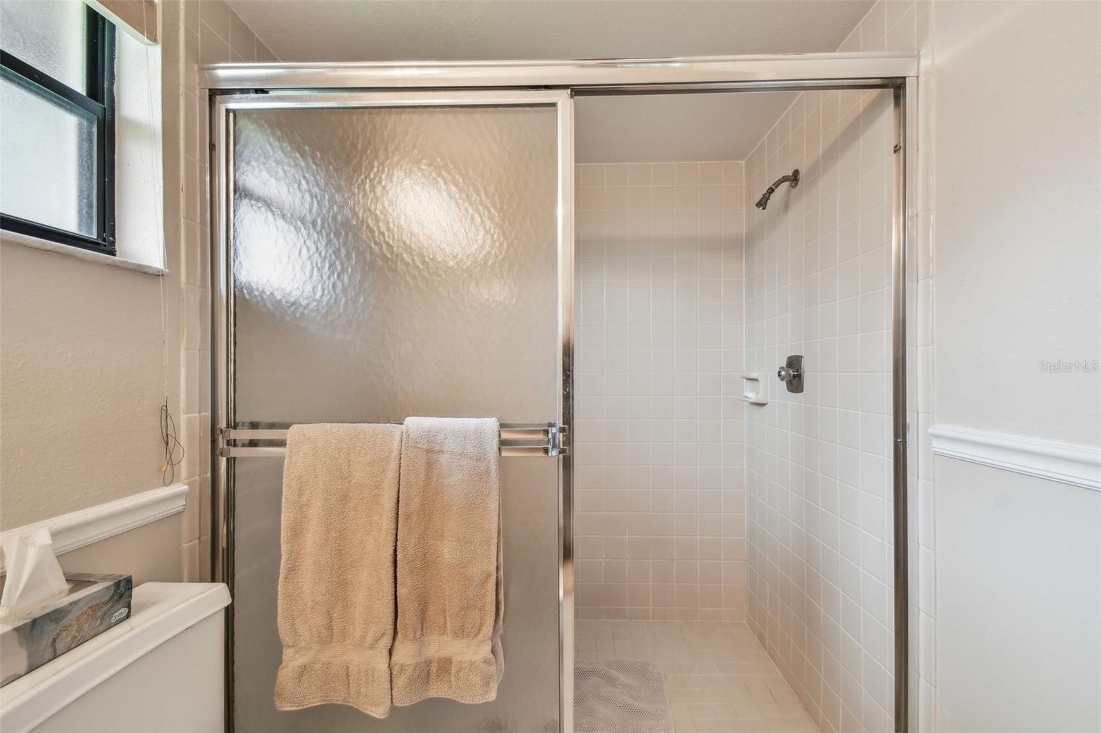 Main bath walk-in shower