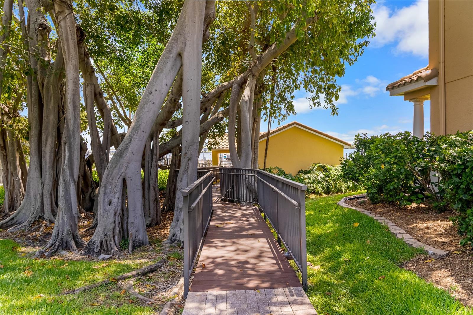 Walk to the pool and waterfront under the Banyan Tree.