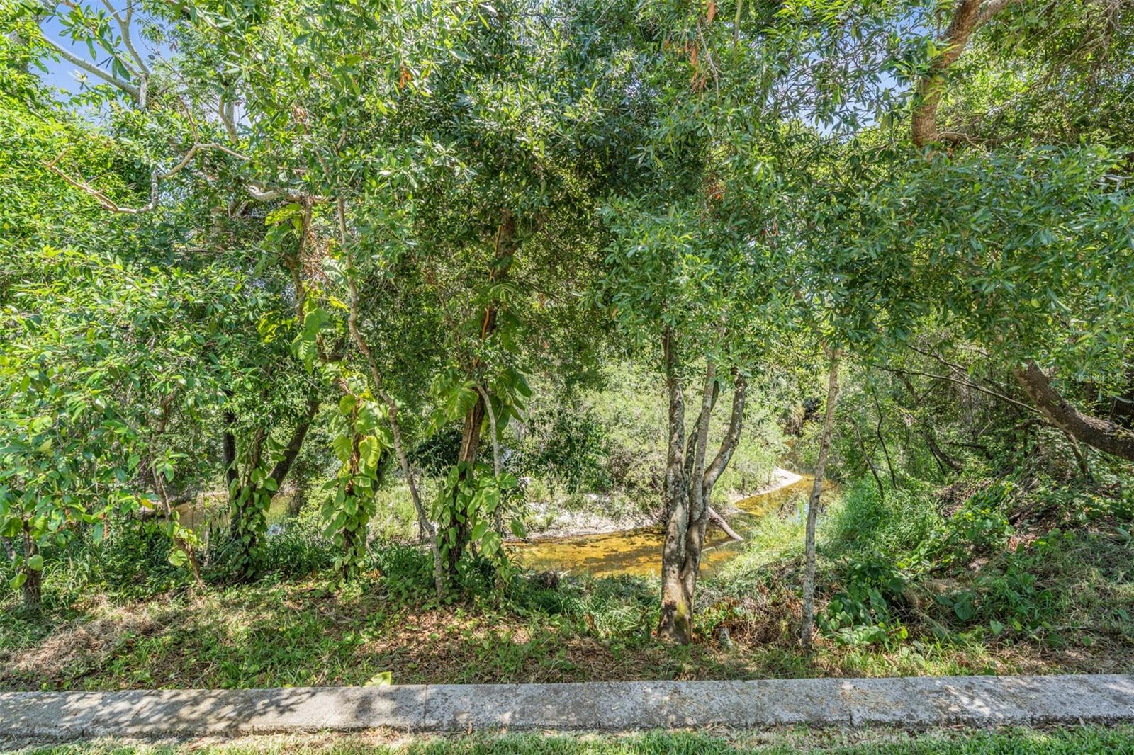 Conservation-Creek View