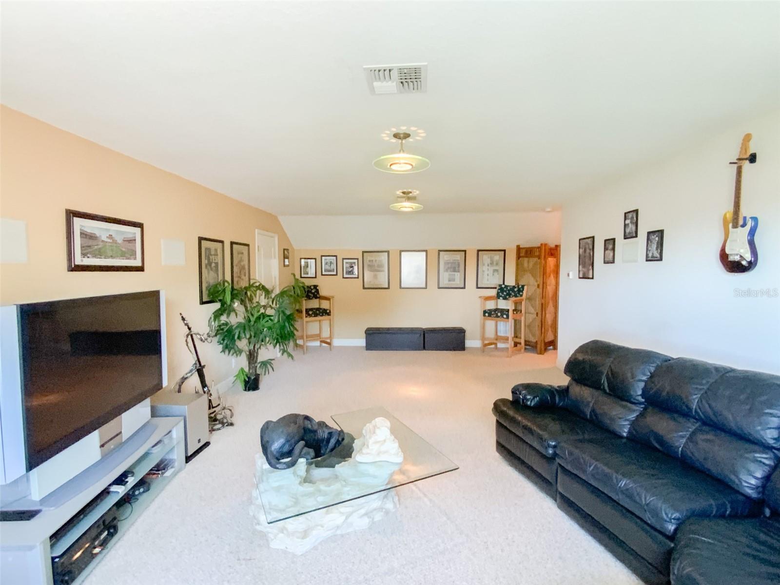 Theater/Game Room