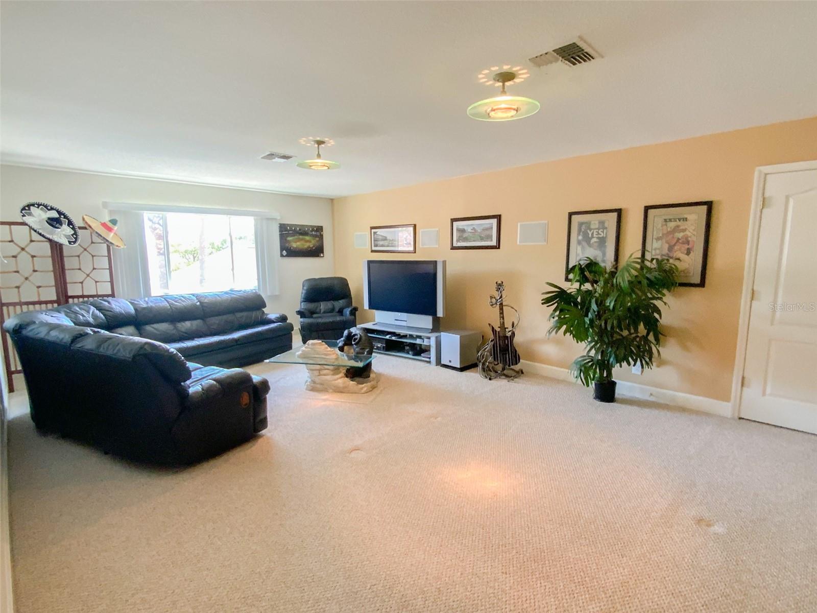 Theater/Game Room