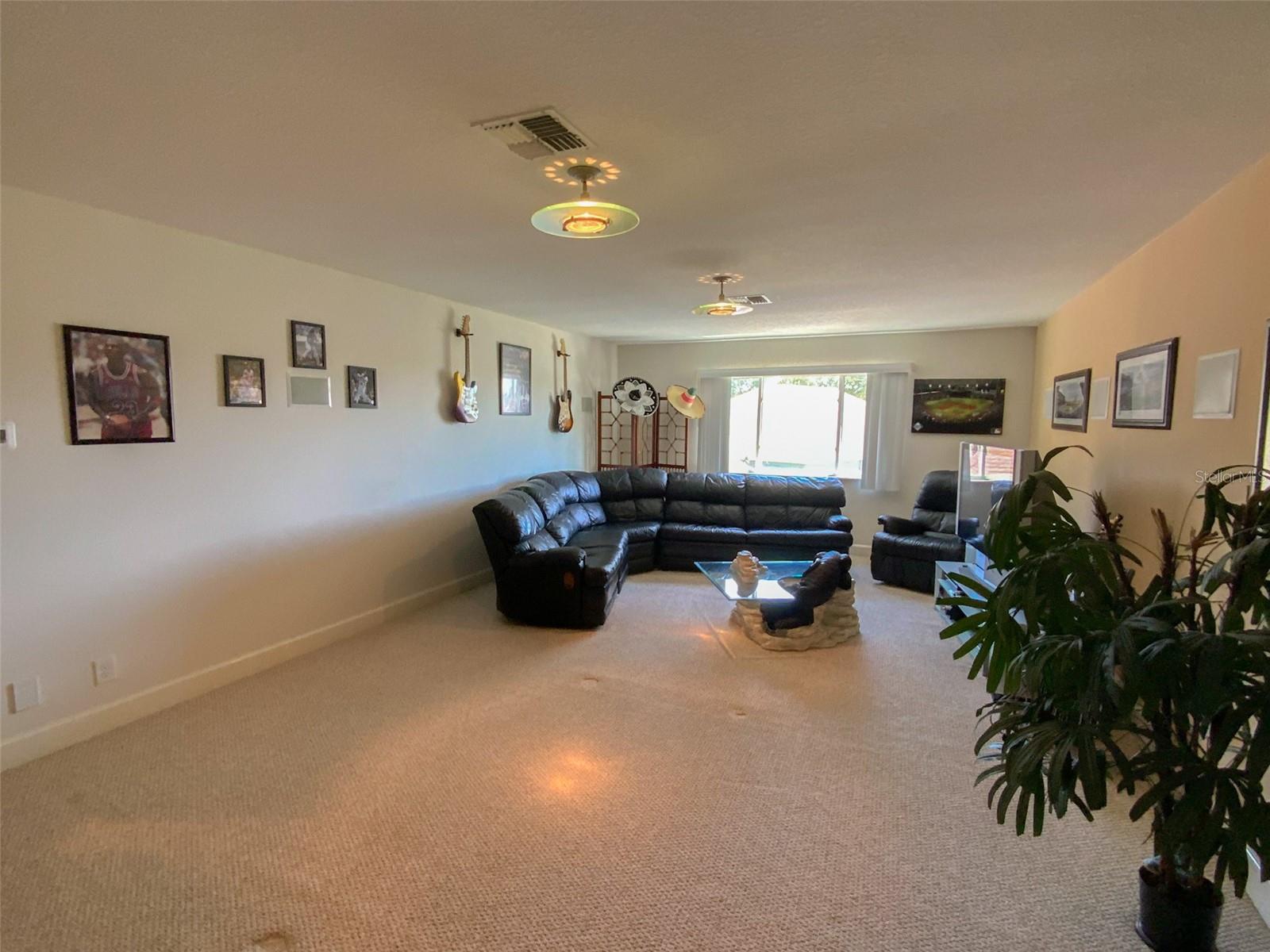 Theater/Game Room