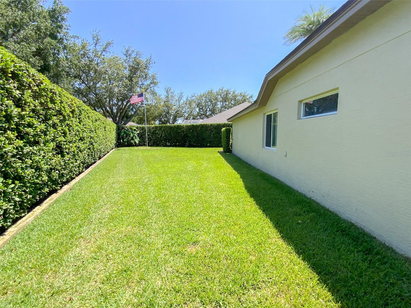 Rear Yard