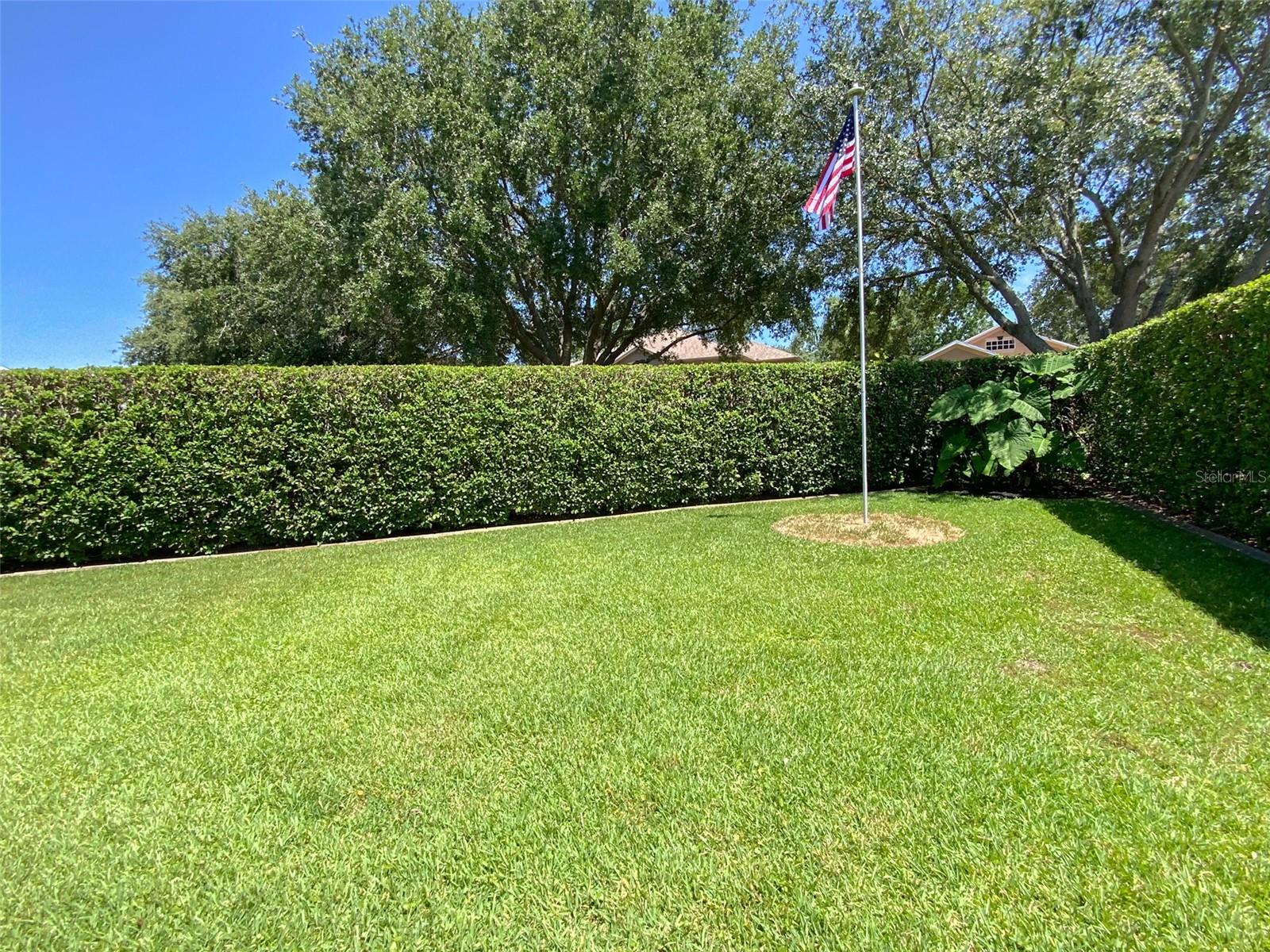 Rear Yard