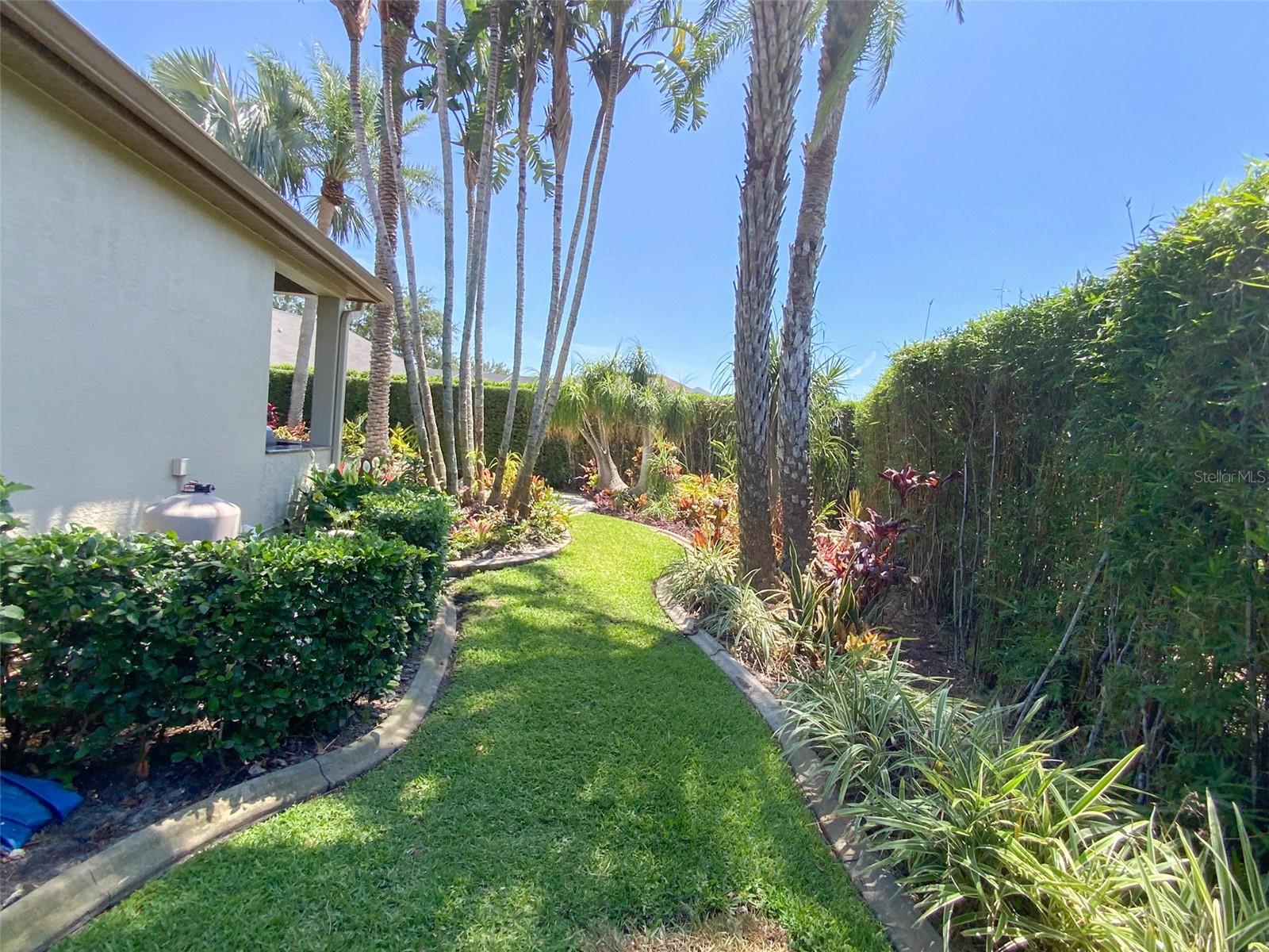 Rear Yard