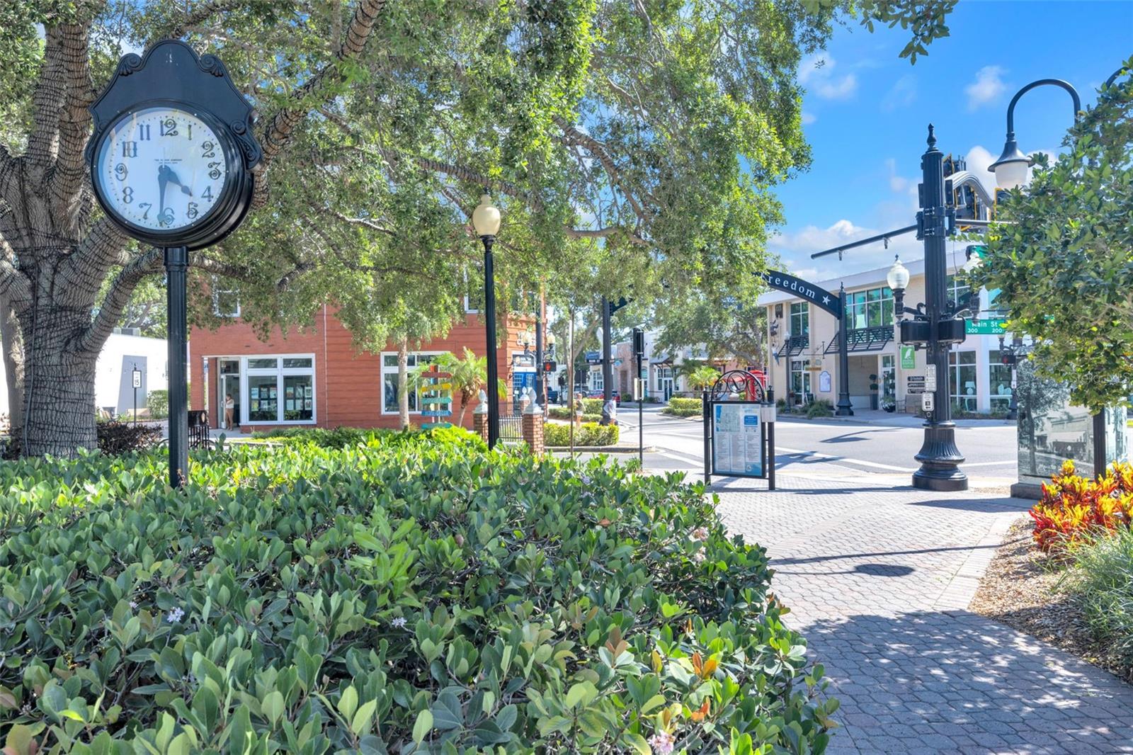 downtown Dunedin