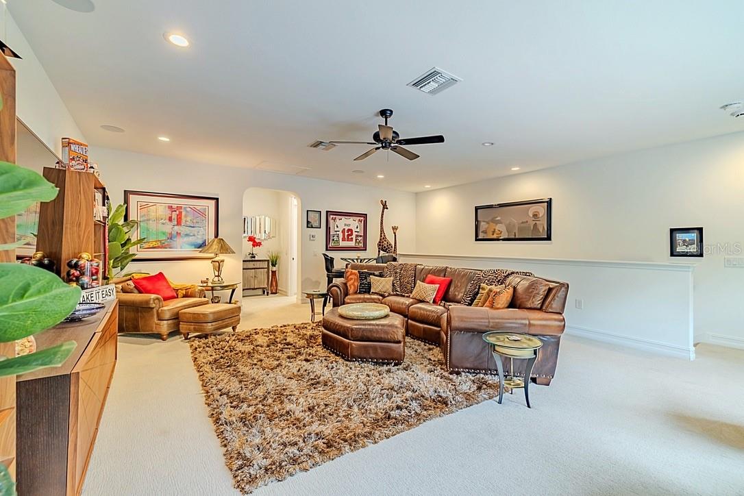Bonus / media room