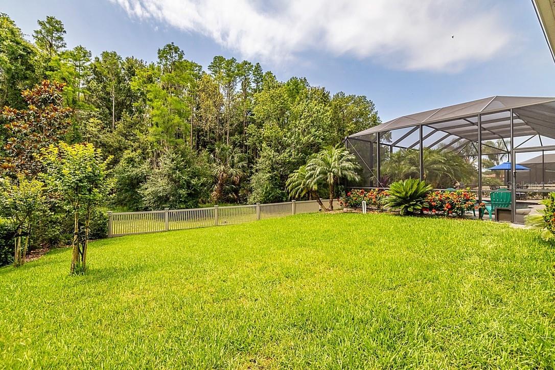 Large fence backyard