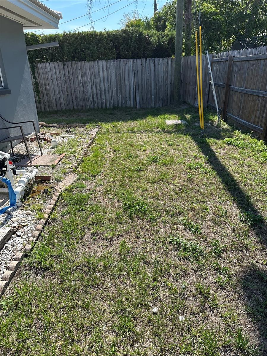 Back Yard