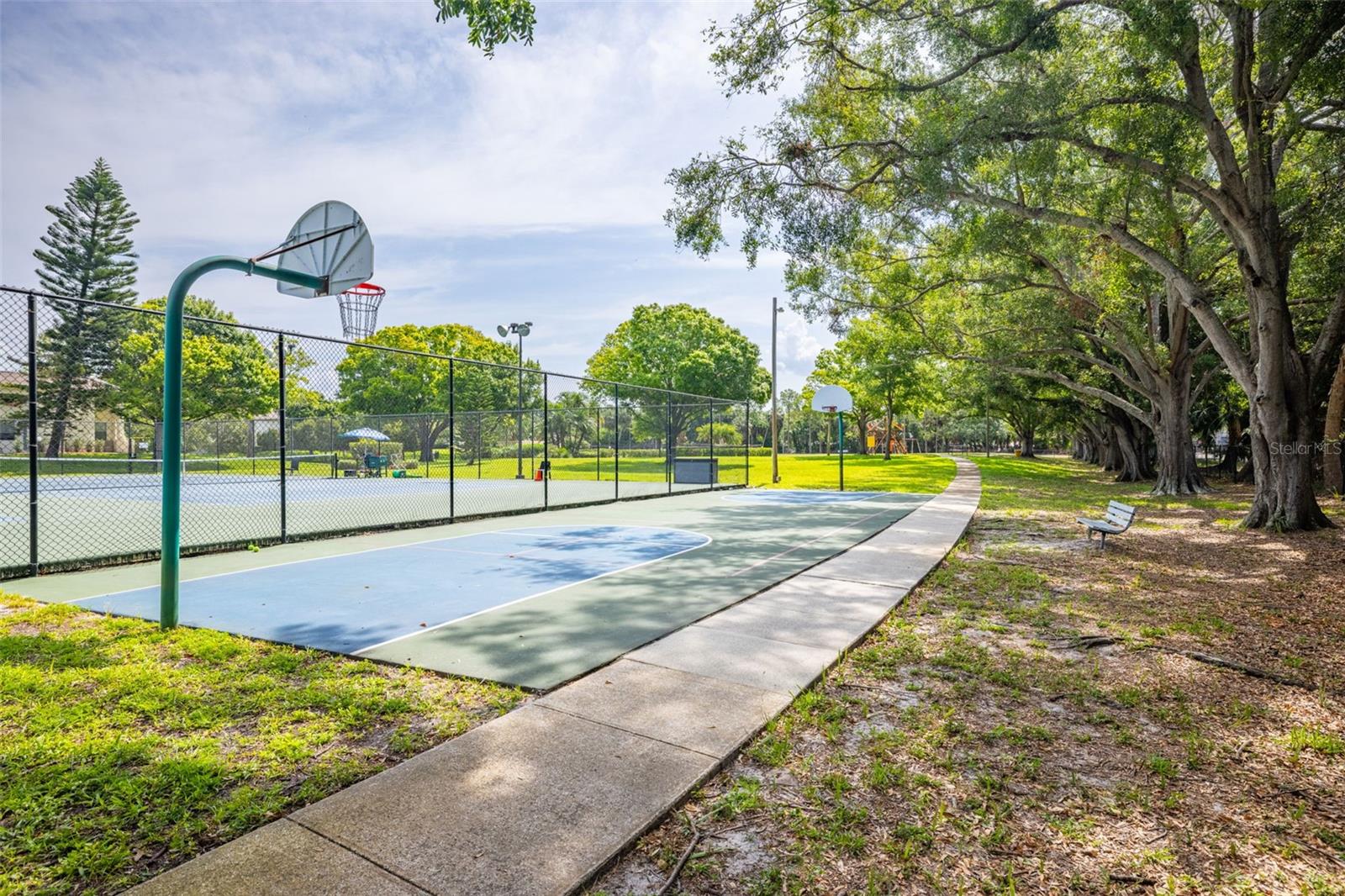 Basketball Court