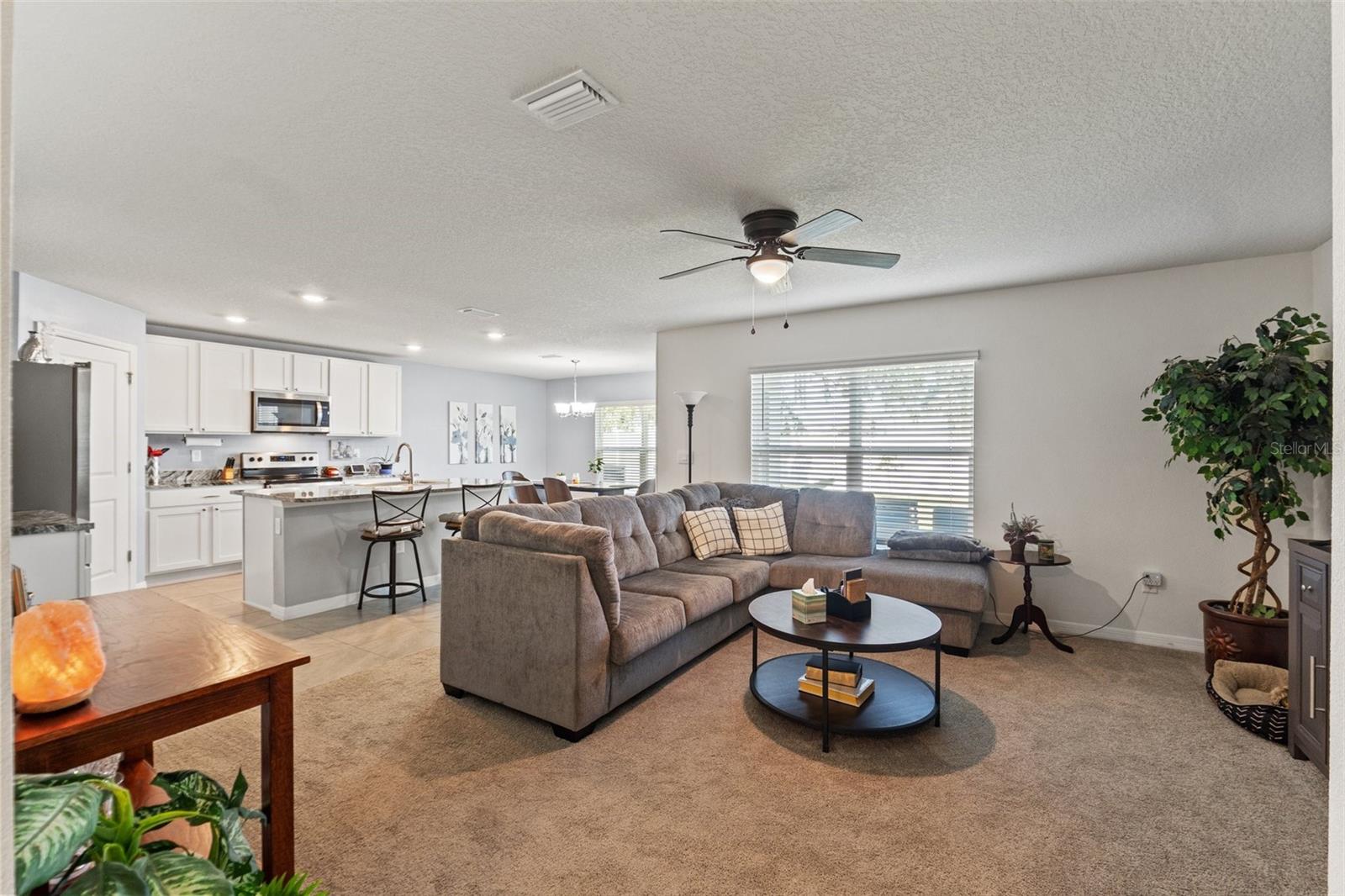 Living Room/Kitchen