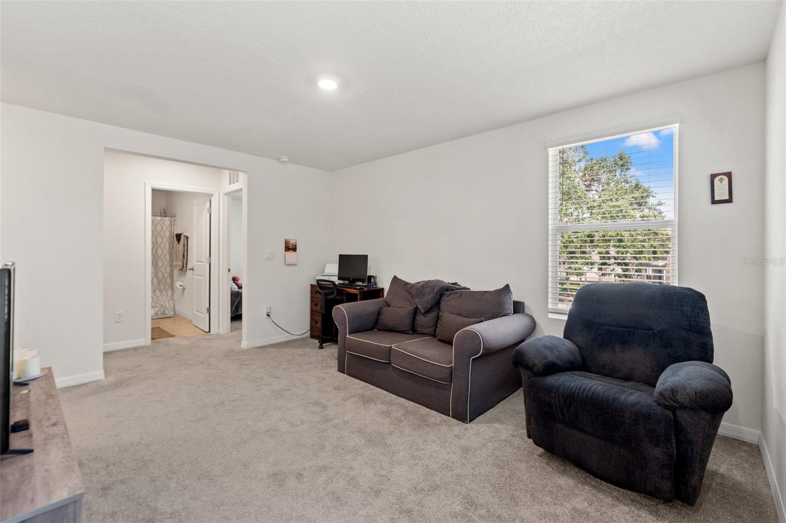 Bonus Room/Loft