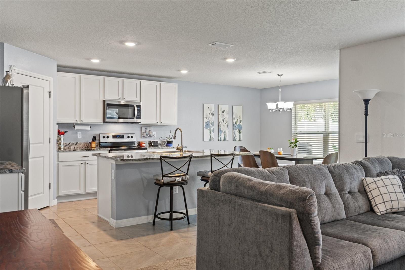 Living Room/Kitchen