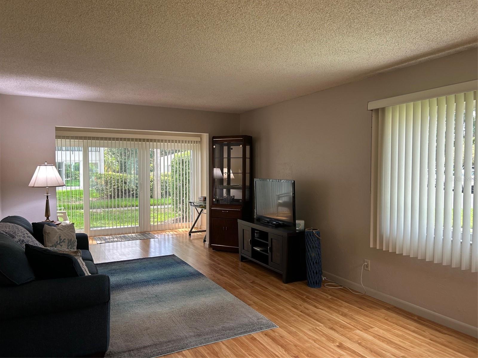 Spacious Great Room