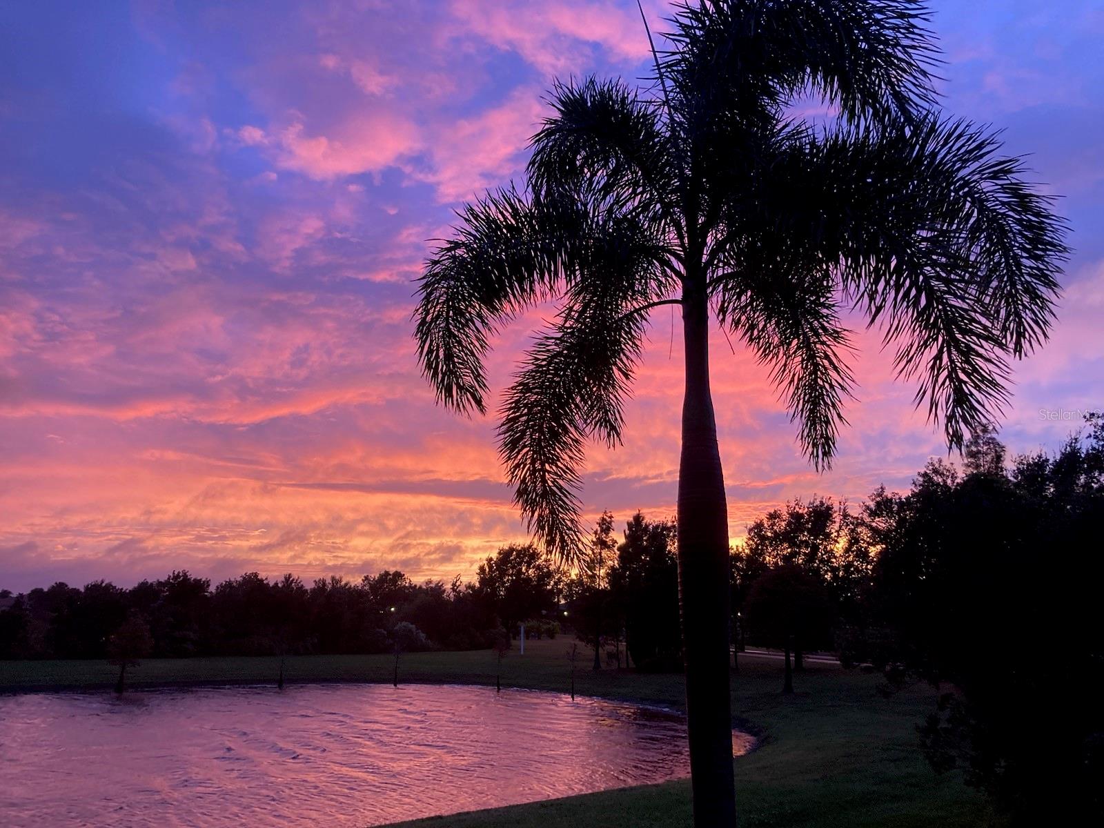 Owner's picture of a sunset.