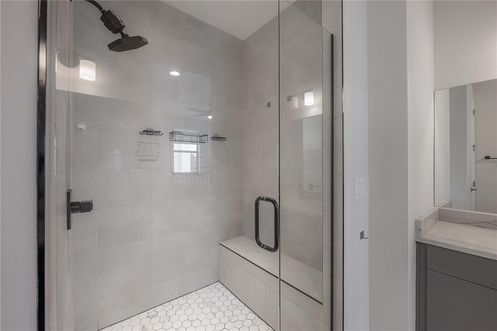 Primary bathroom shower