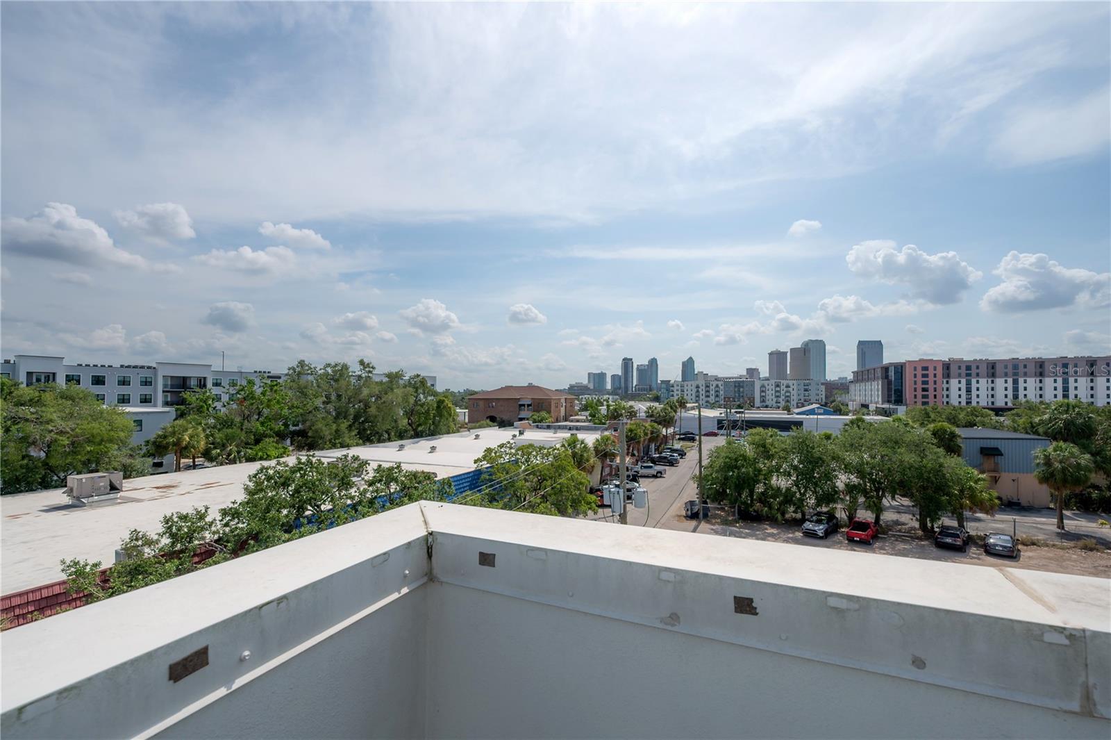 Views of downtown Tampa
