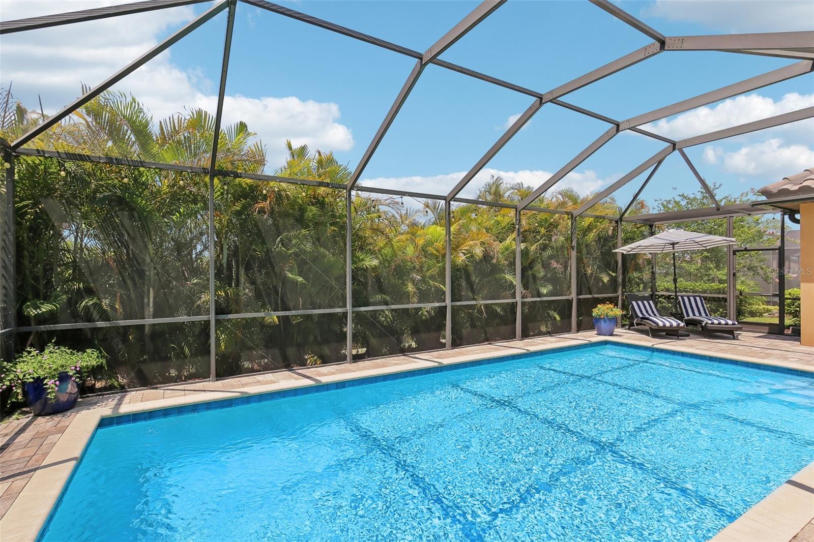 Pool/Lanai