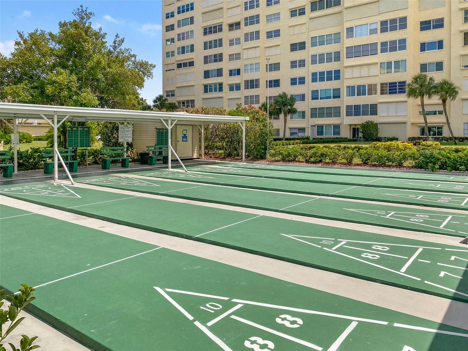 Shuffle Board