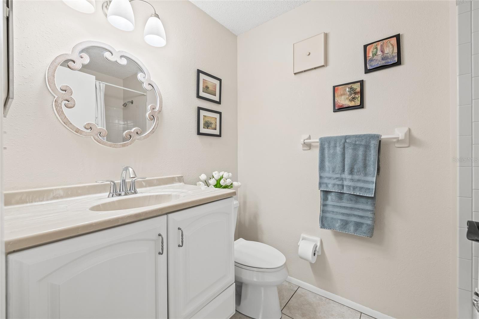 Hallway Bathroom with updated vanity.