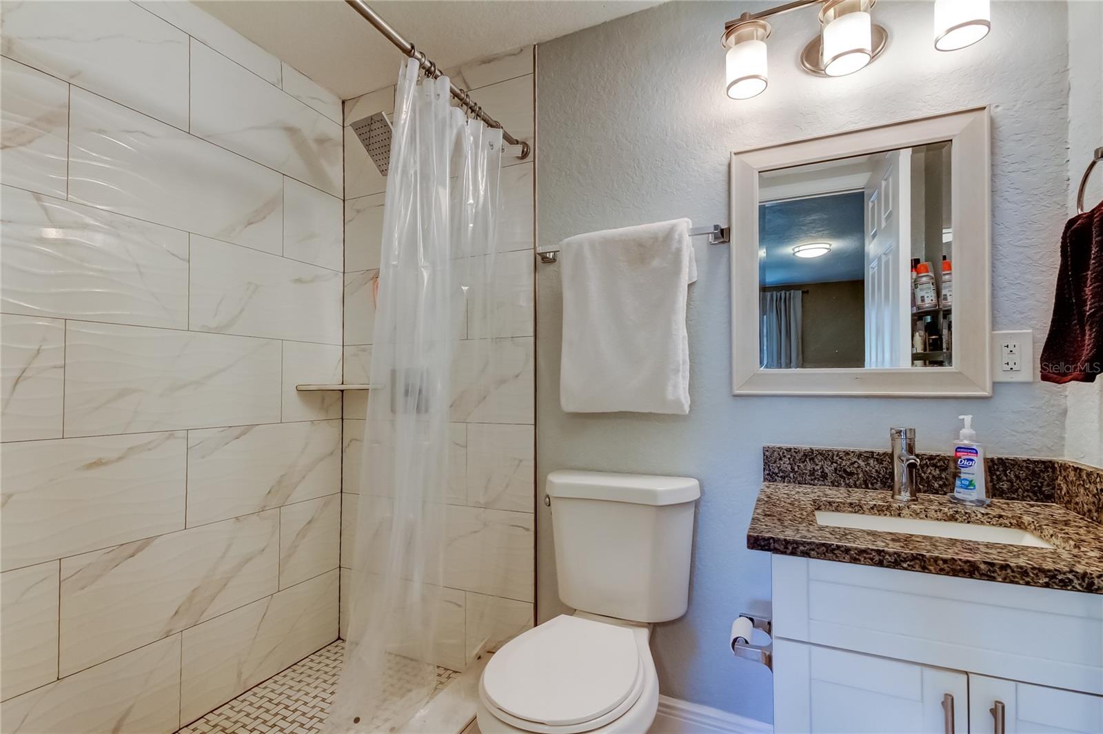 Updated Primary Bath