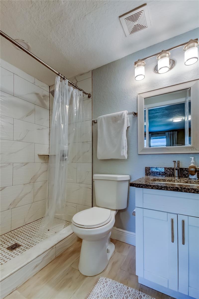 Updated Primary Bath
