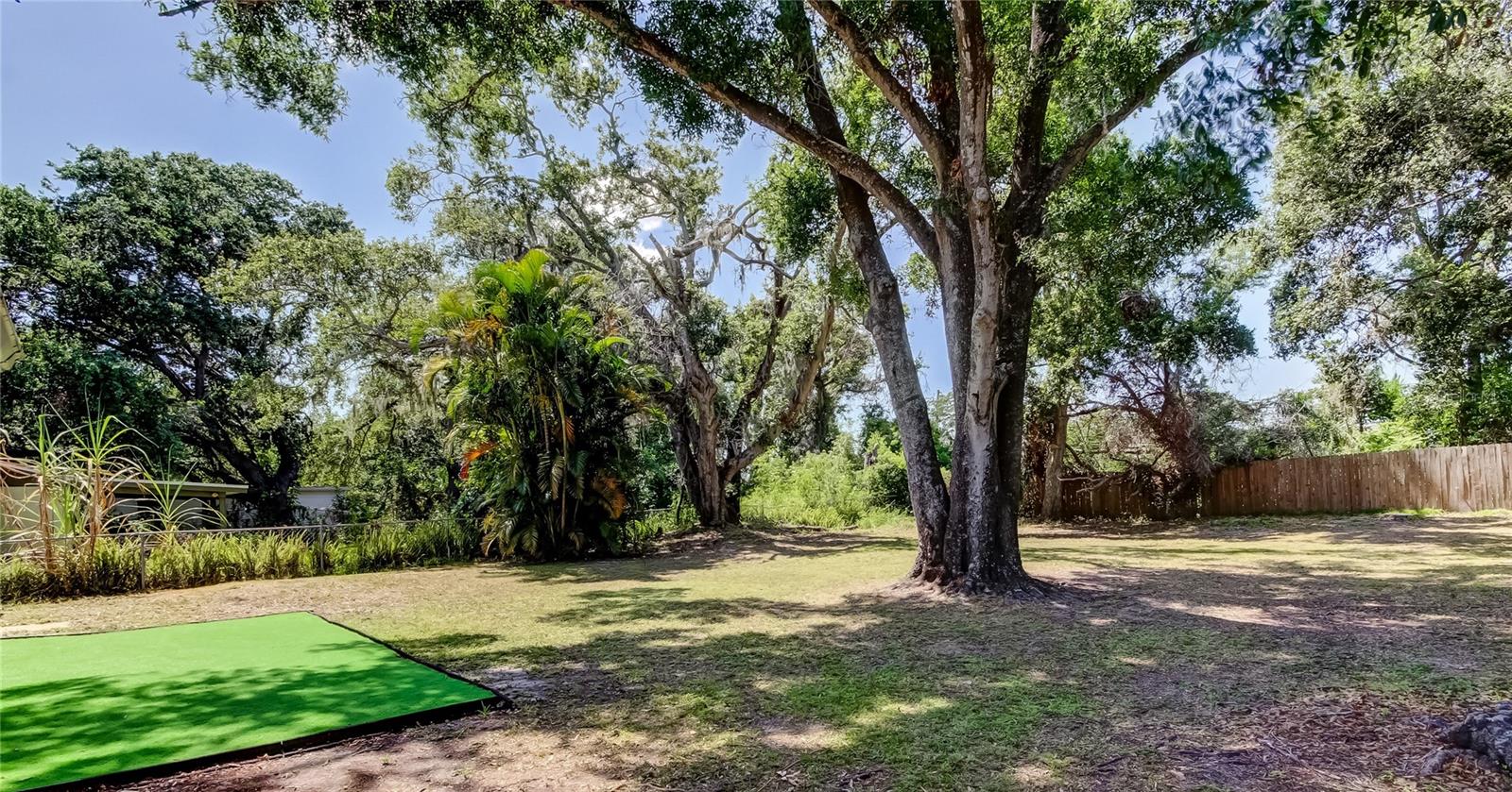 Big Backyard w/Room for a Pool