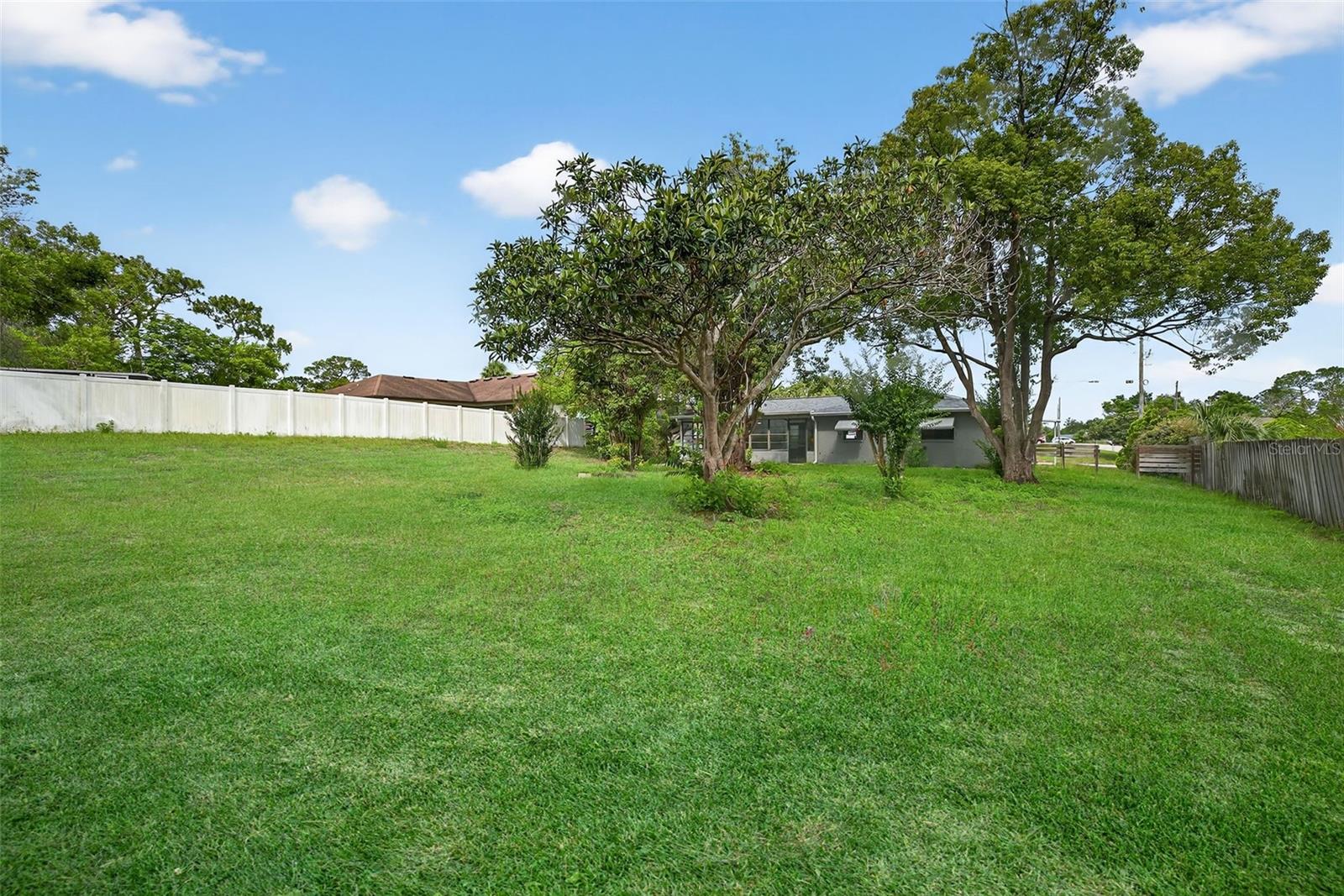 Expansive Back yard