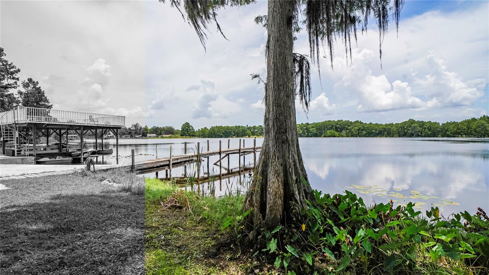 View of the lake, black and white belongs to neighbor along with the dock.