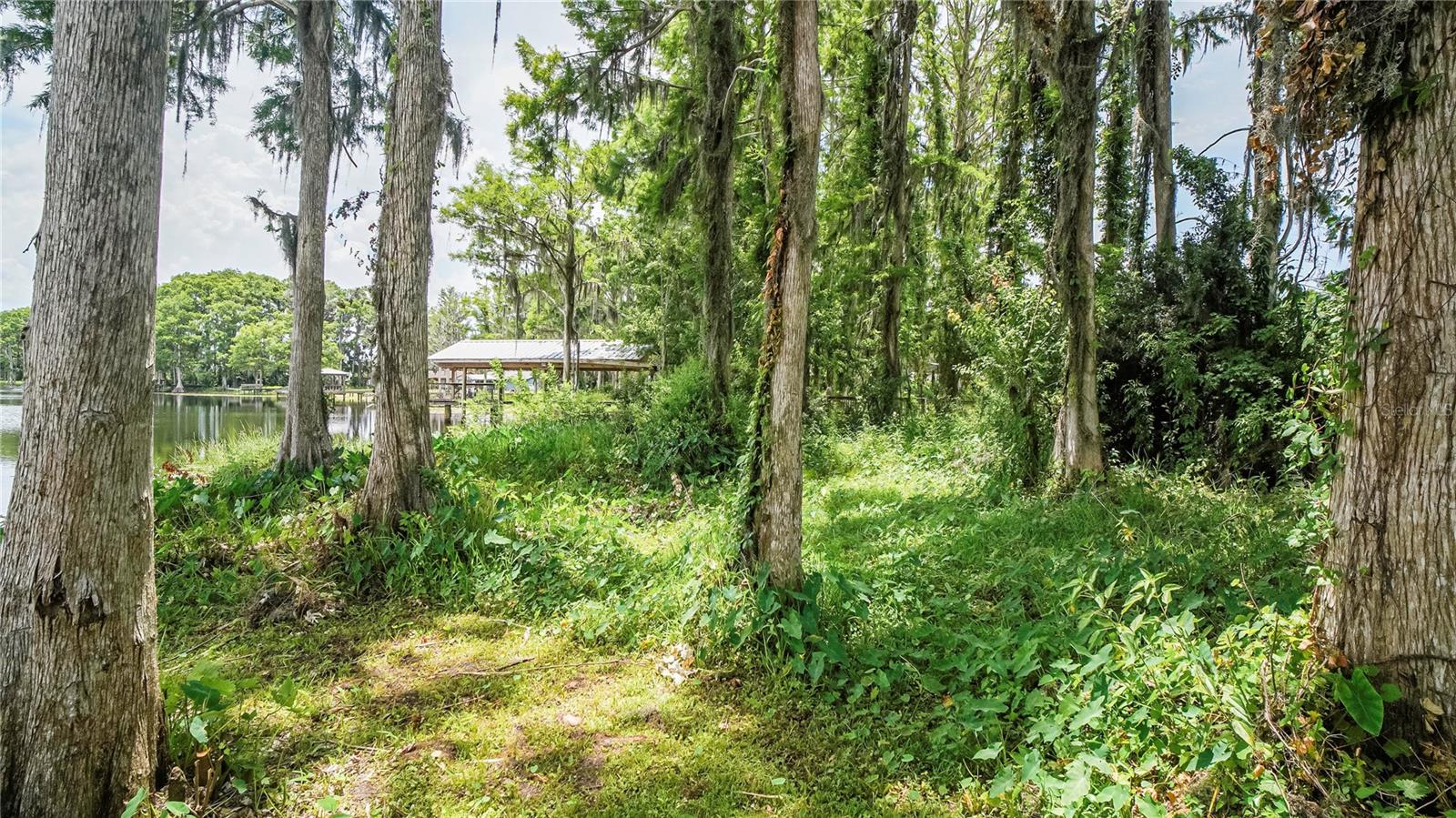 back of the property, all buildable